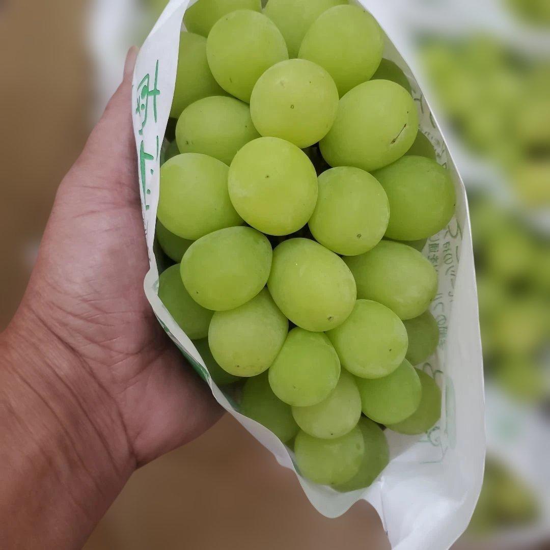 5️⃣ 山梨県産 シャインマスカット １０房入り 箱込み5.6キロ
