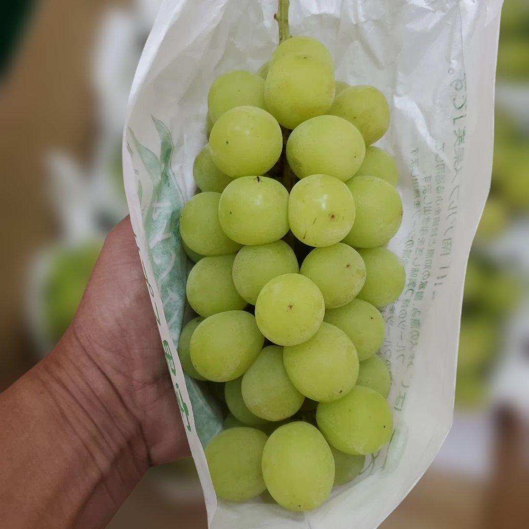5️⃣ 山梨県産 シャインマスカット １０房入り 箱込み5.6キロ