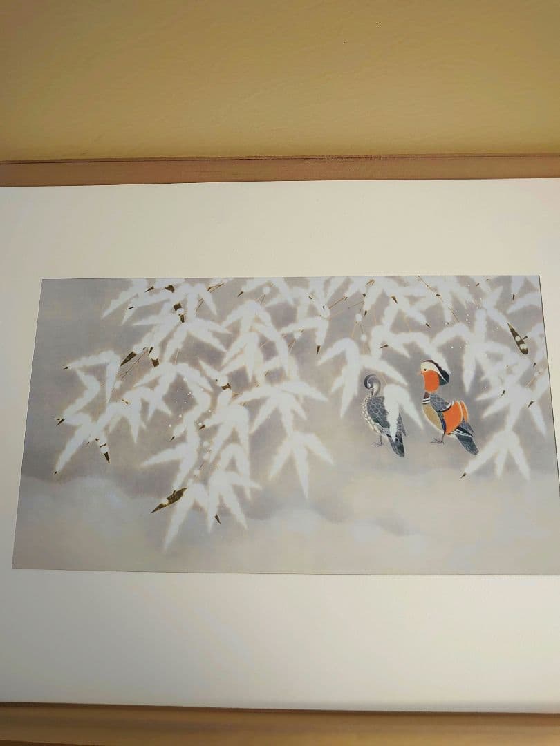 ✨白孔雀 花鳥 上村松篁　全8枚✨