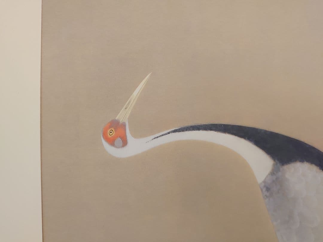 ✨白孔雀 花鳥 上村松篁　全8枚✨