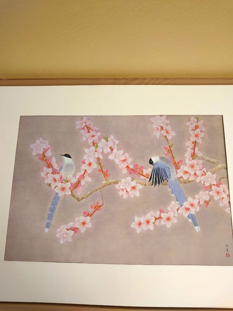 ✨白孔雀 花鳥 上村松篁　全8枚✨