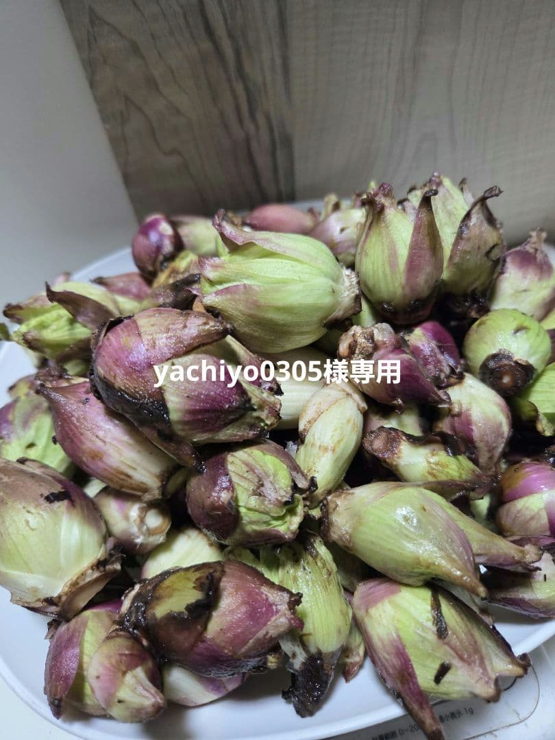 北海道産天然雪の下ふきのとう(5キログラム)