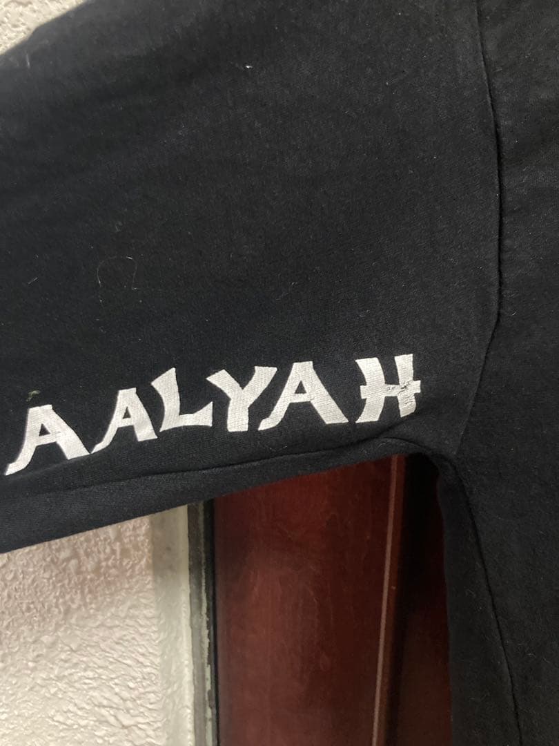 激レア!! ミステリオ マスク フード パーカー XL WWE タトゥー