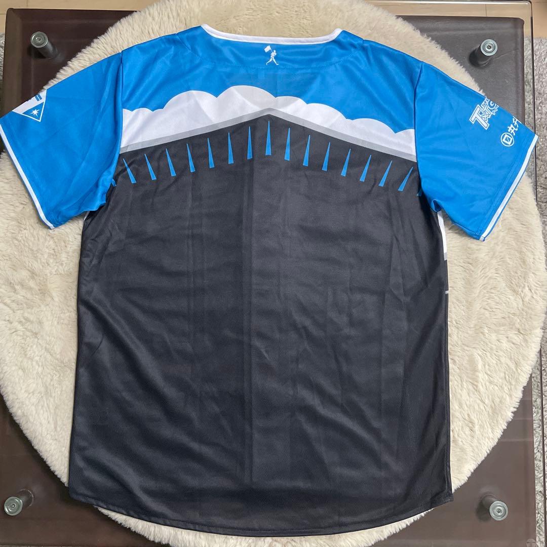 北海道日ハムファイターズユニホーム2025限定×野球観戦応援グッズ×12点＋2点