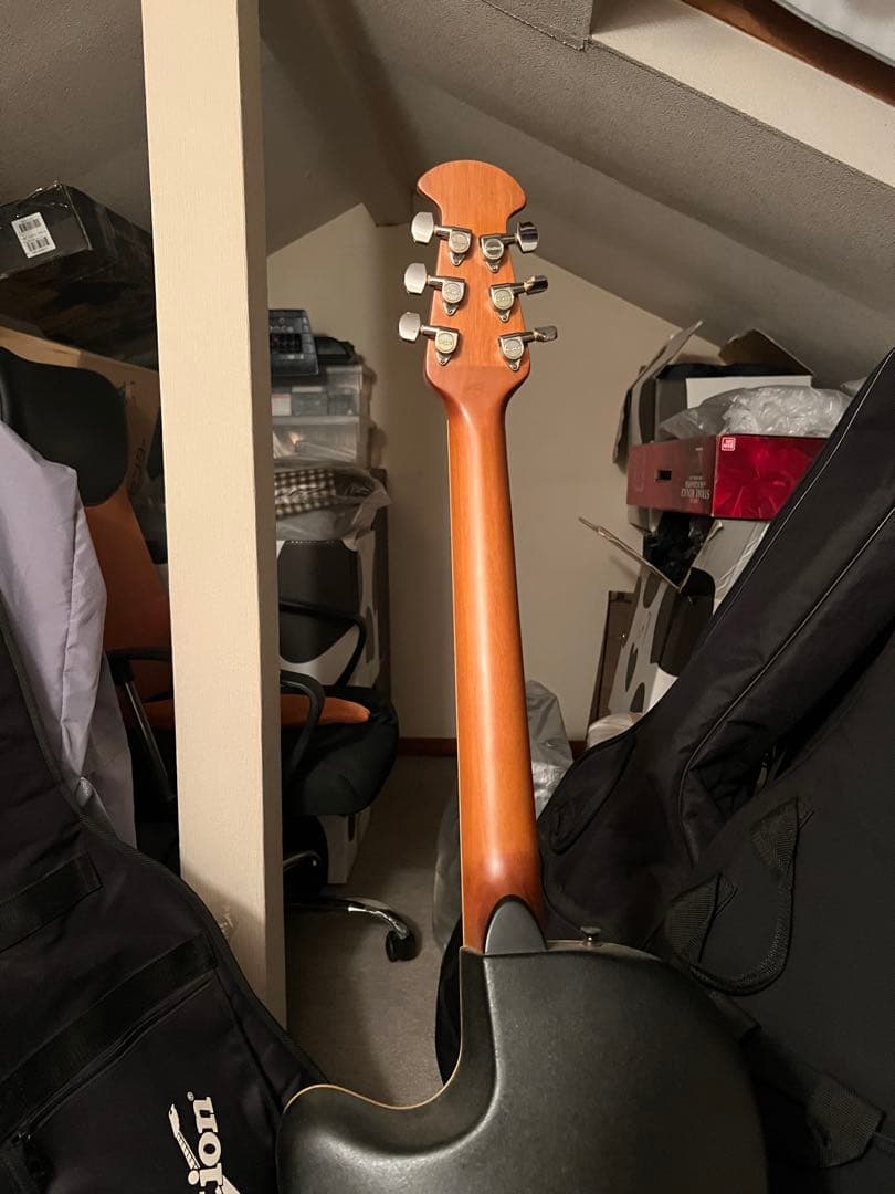 Applause グリーン アコースティックギター