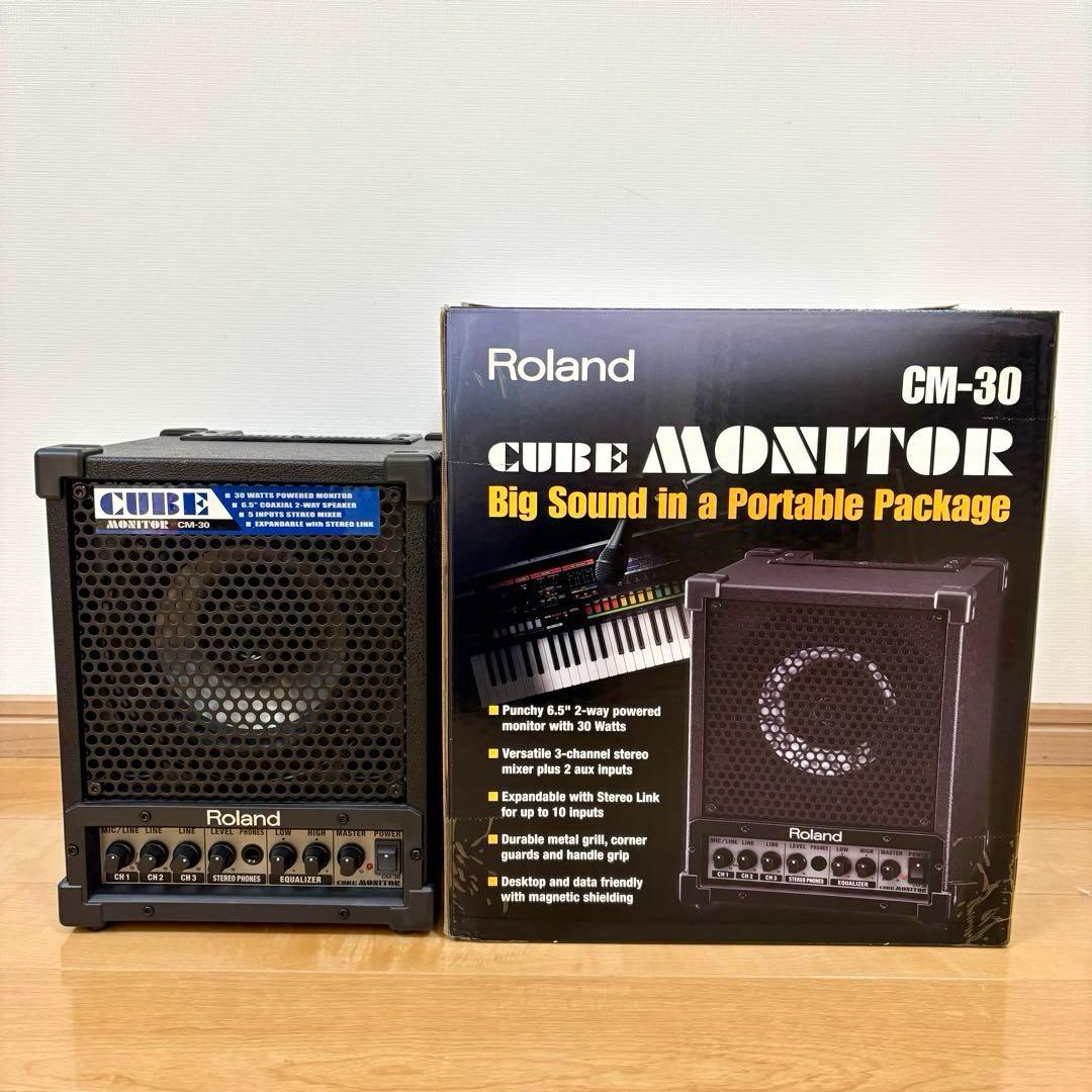 Roland ローランド CUBE CM-30 モニタースピーカー