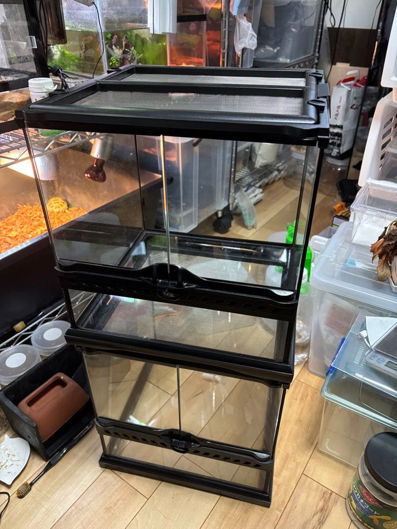 GEXエキゾテラ　グラステラリウム3030 2個　引き取りのみ