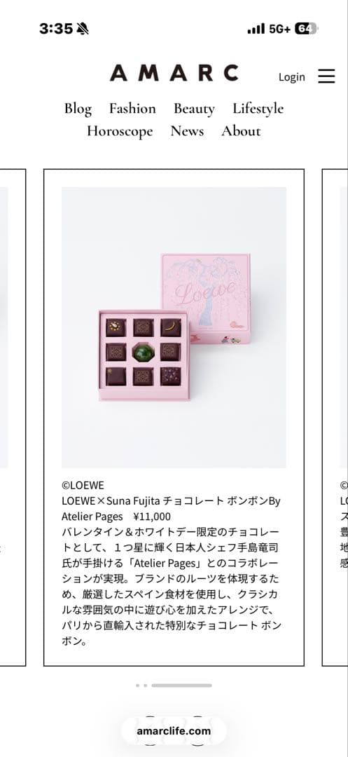 LOEWE Suna Fujita チョコレート ボックス