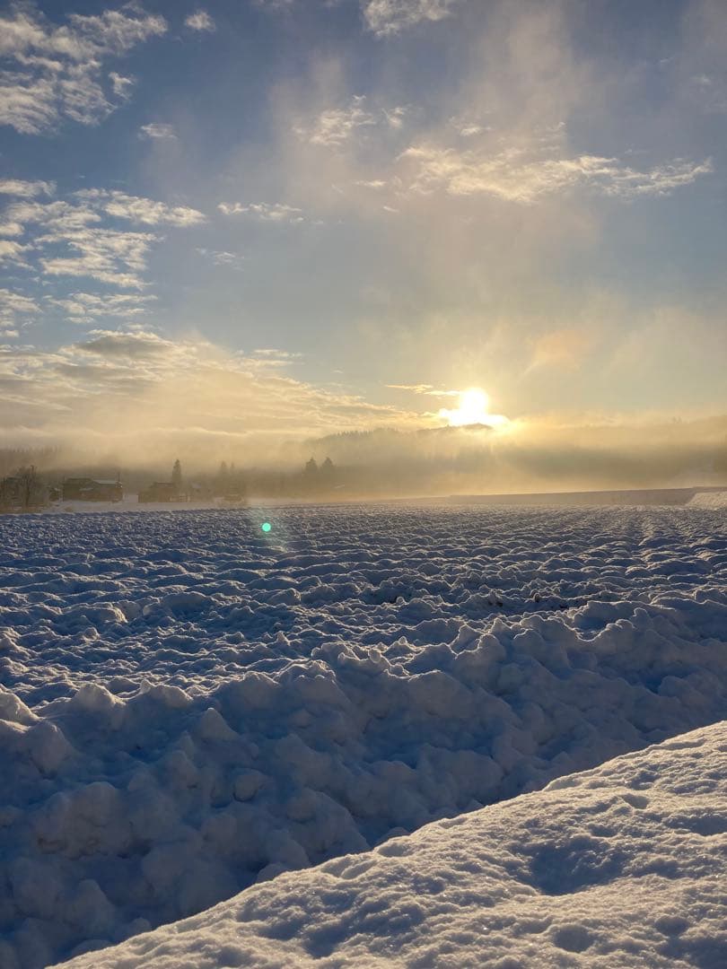 令和7年魚沼産コシヒカリ 精米10kg