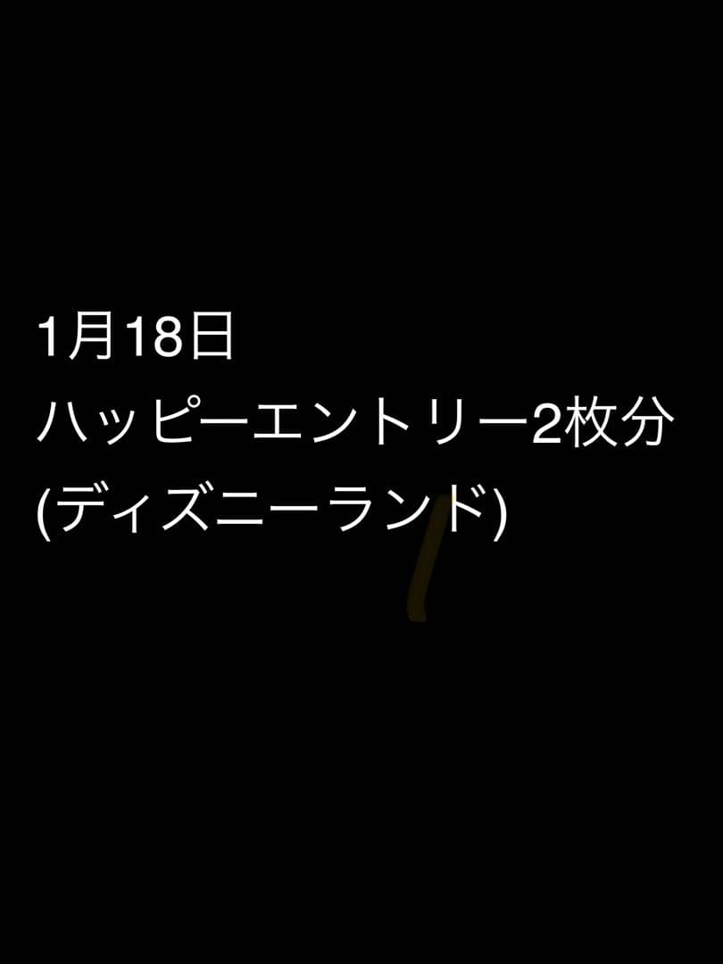 ディズニーランド ハッピーエントリー2枚分