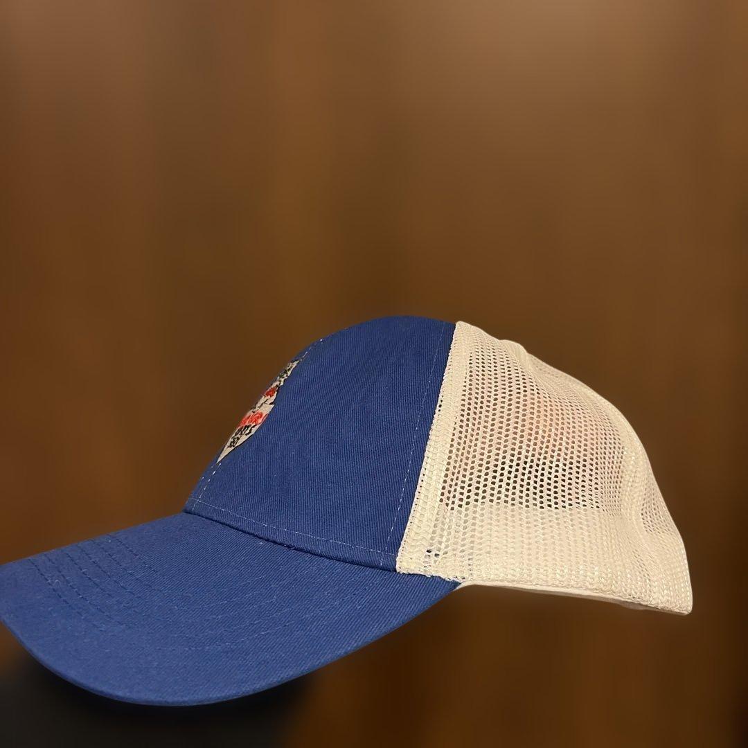 90s‘vintage「TERRIERS SPORTS 1991」キャップ