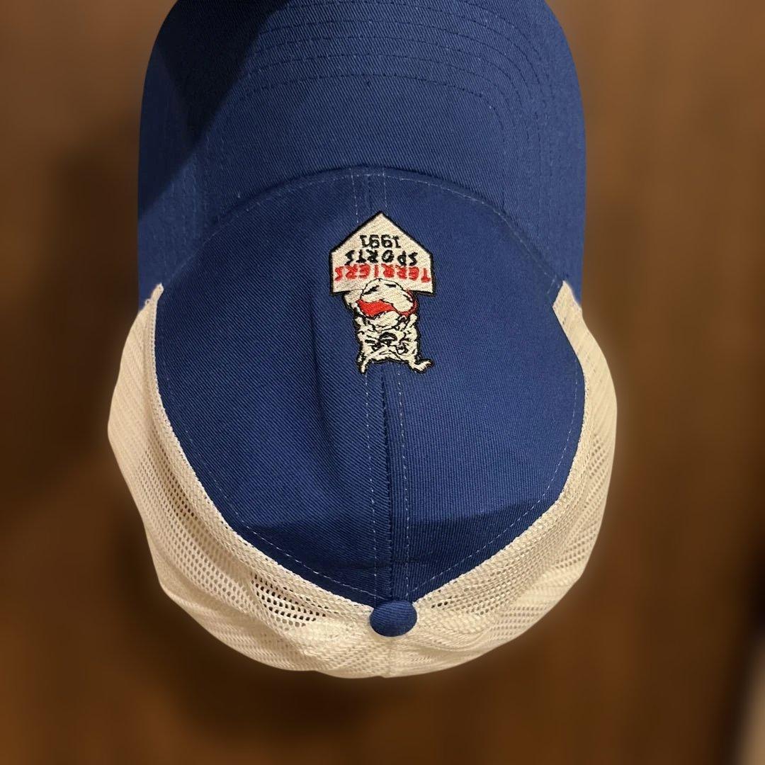 90s‘vintage「TERRIERS SPORTS 1991」キャップ