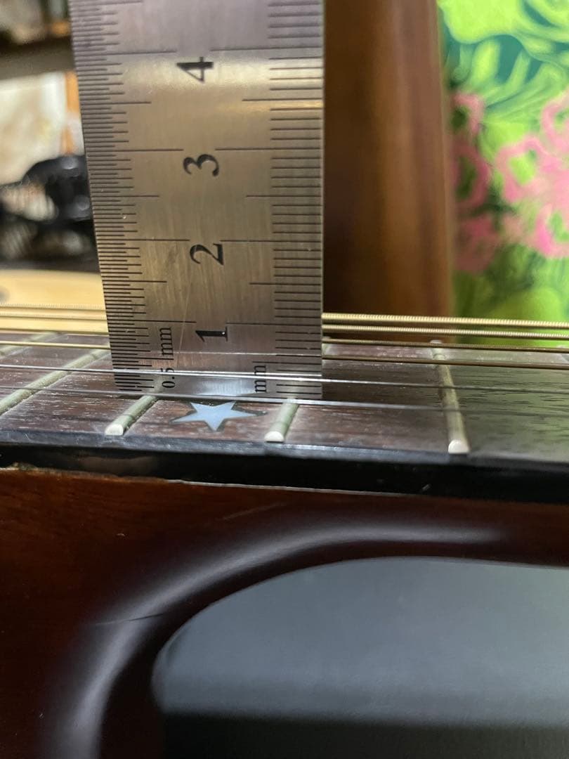 Morris W-30 アコースティックギター