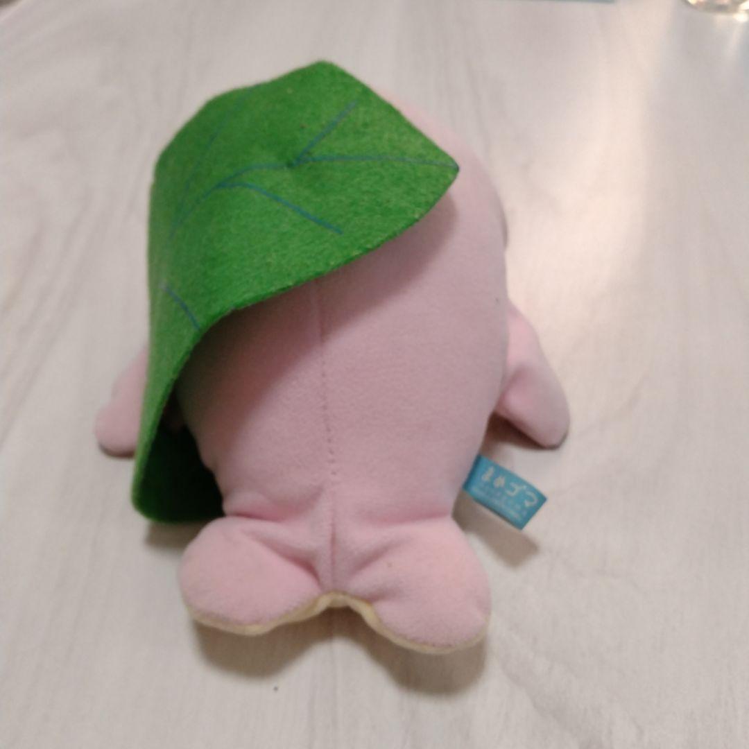 まめゴマ　桜餅