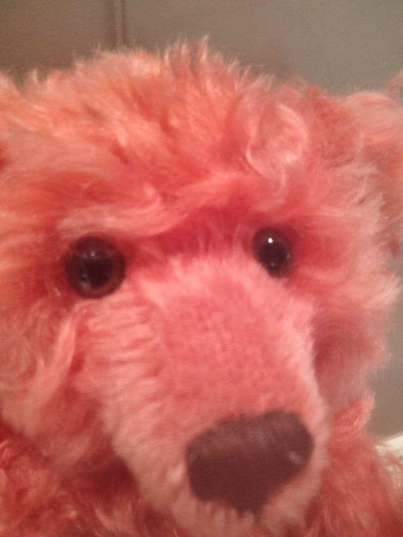 シュタイフ レッド ファジーテディベア ヴィンテージ イヤーボタンタグ