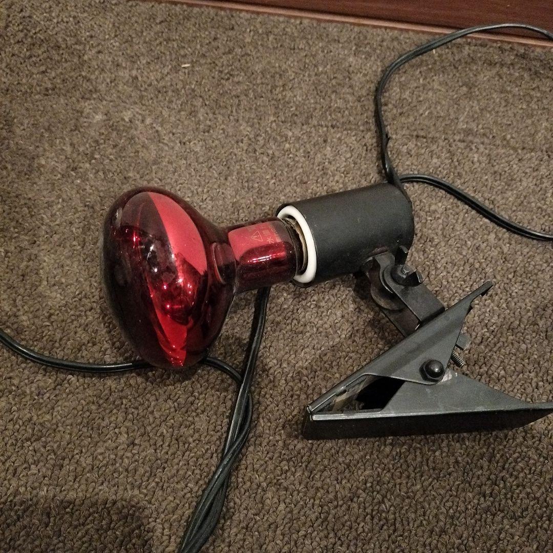クリップ式 UVランプ 赤色電球 3つセット