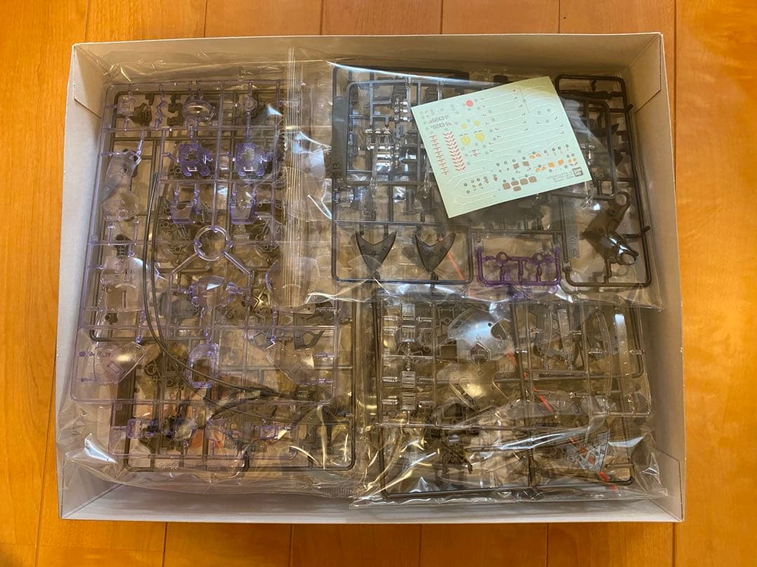 RG 1/144 MSN-02 ジオング クリアカラー　新品未組立