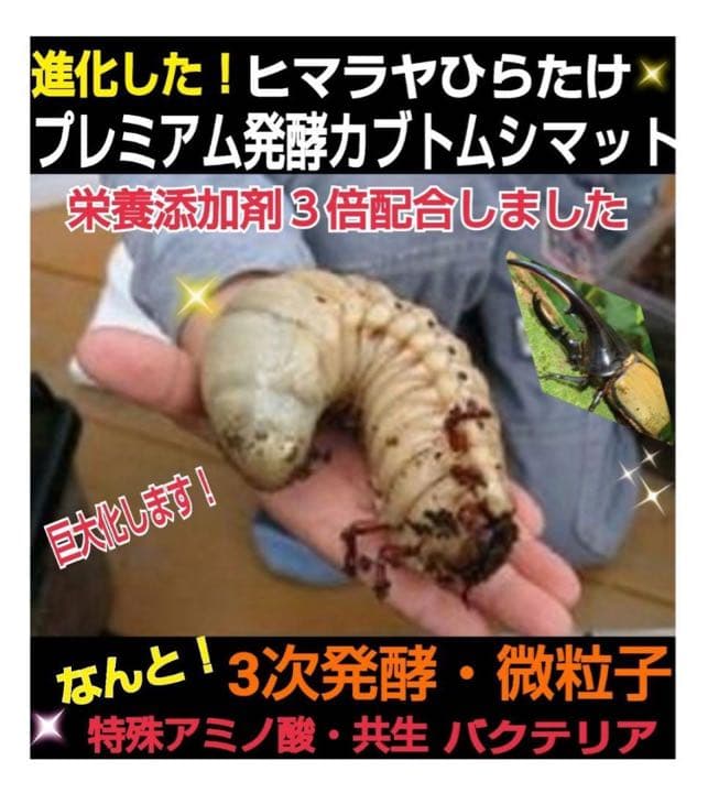 極上☆ギネス狙いに！プレミアム3次発酵カブトムシマット【5袋】特殊アミノ酸強化！