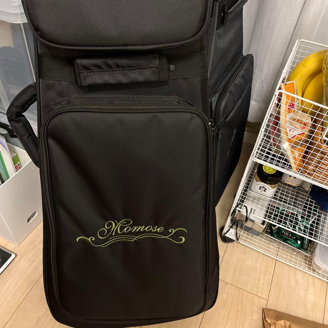 (4/25まで掲載)Momoseエレキギター ミントグリーン　ジャガー