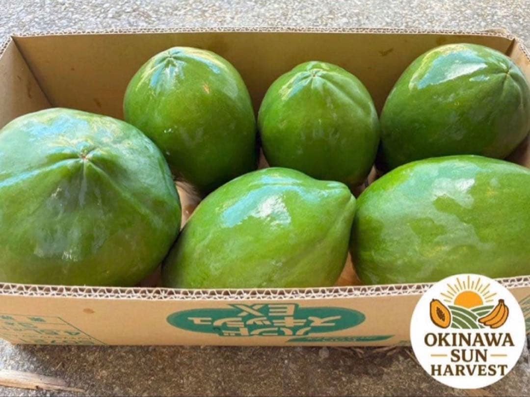 グリーンパパイヤ 10Kg