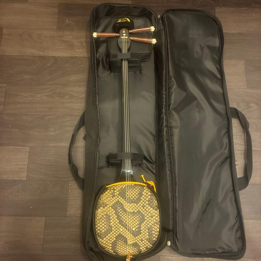 連休中に処分予定【入門機】三線