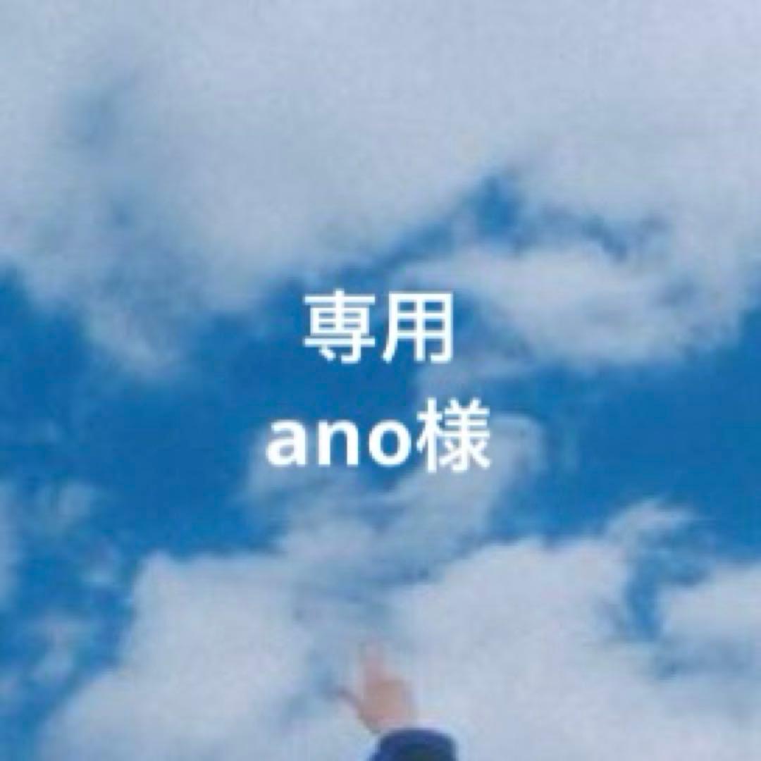 ①専用ページ ano様