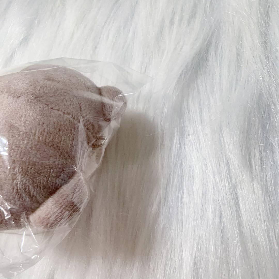 &team エンティーム　ユウマ yuma マスター ぬいぐるみ 윰달이