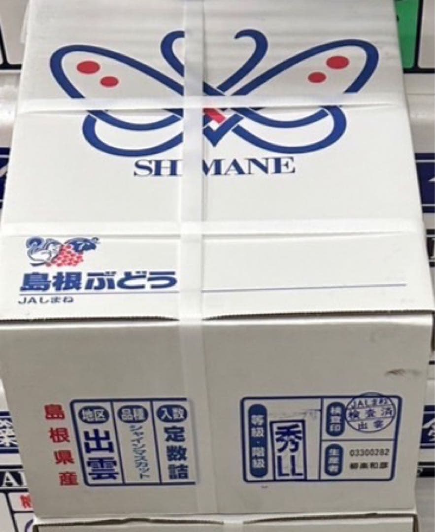 61 【島根県産】シャインマスカット約2キロ(3〜5房)×2
