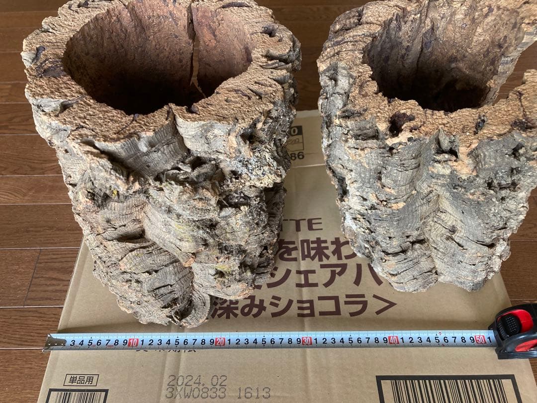 天然コルク樹皮2個とコナラ樹皮1個