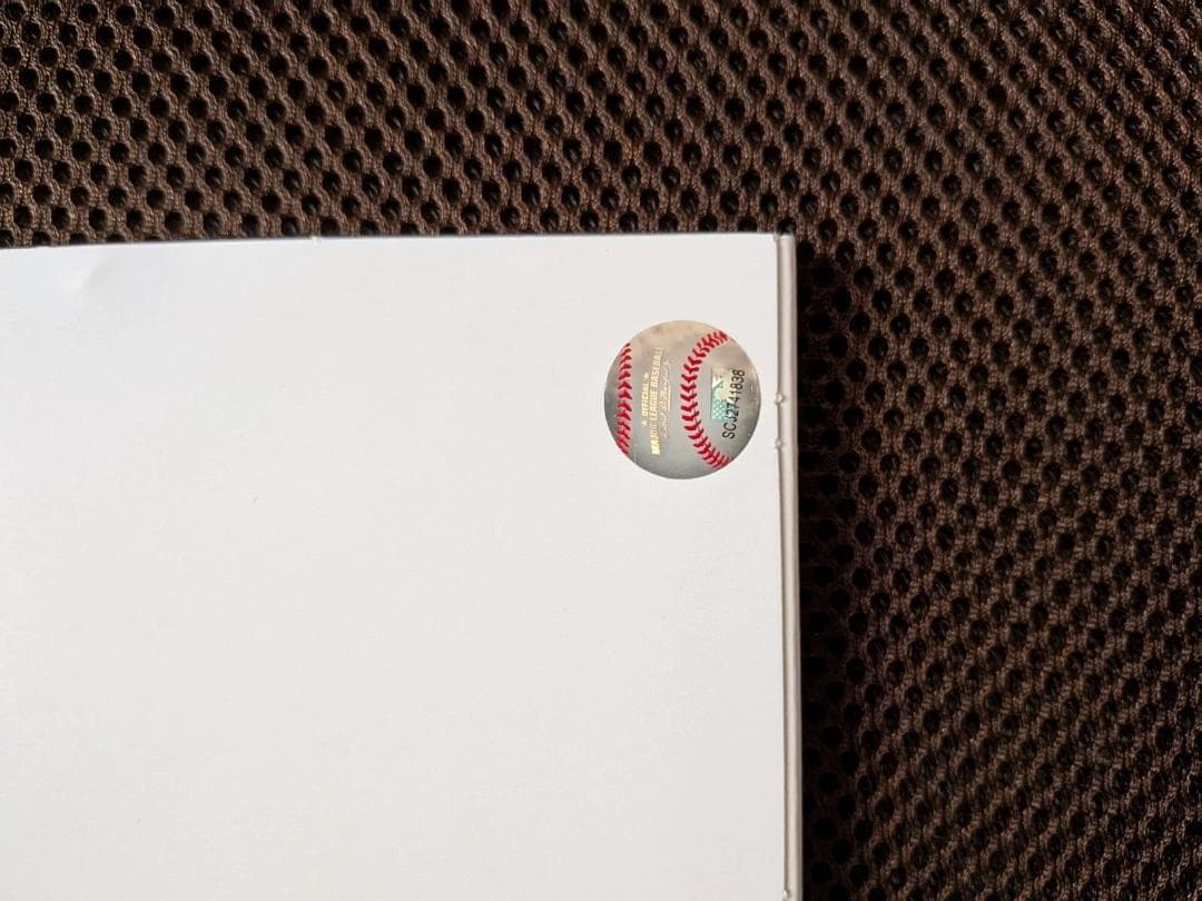 2025 MLB ワールドツアー 東京  大谷翔平 ドジャーズ カブス