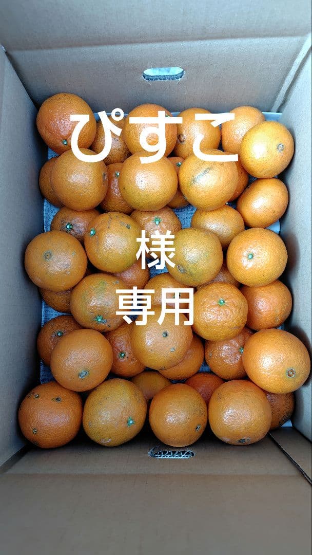 津之輝20㎏(家庭用、小玉)ぴすこ