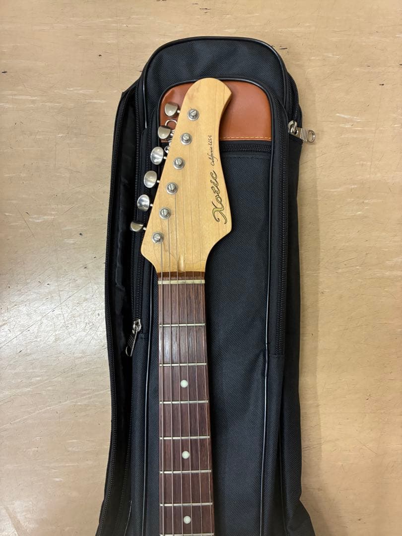 ギター Xotic XS-24F-HSH