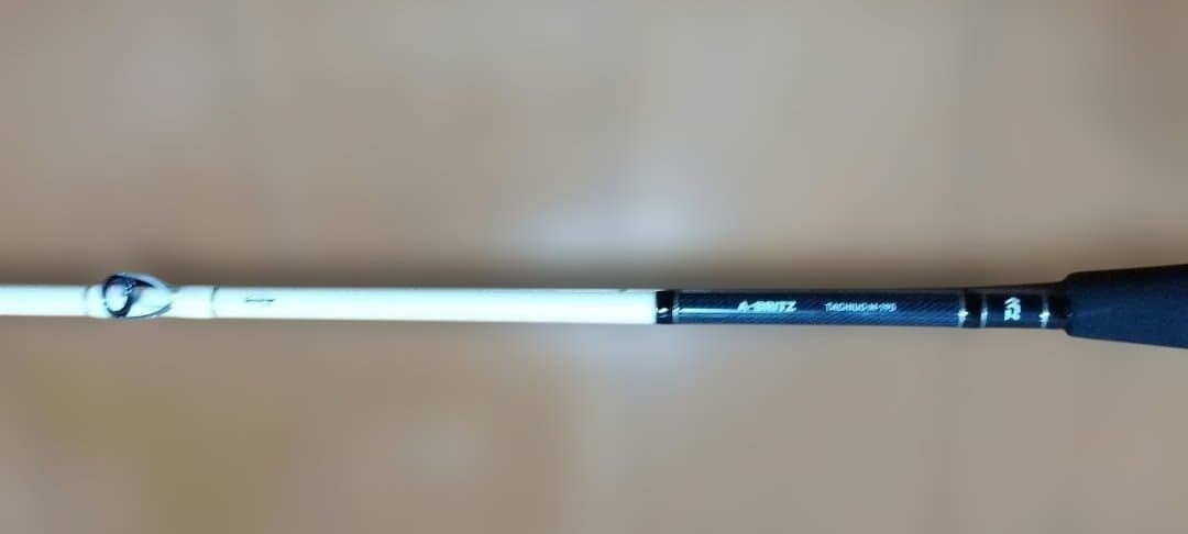 DAIWA A-BRITZ タチウオ M-195