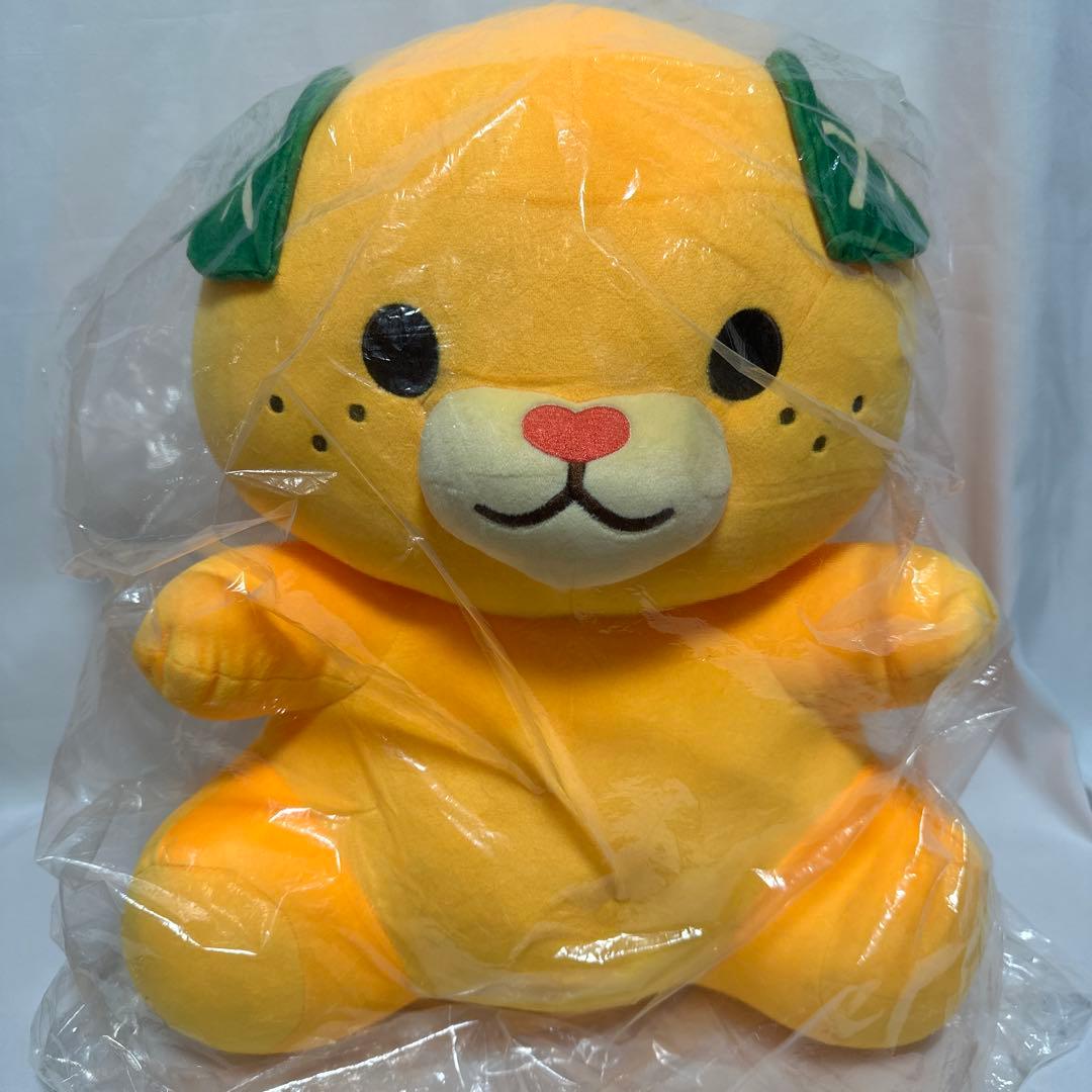 みきゃん　特大ぬいぐるみ　クリアファイル