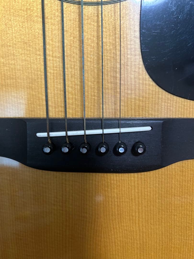 Morris アコースティックギター W-30