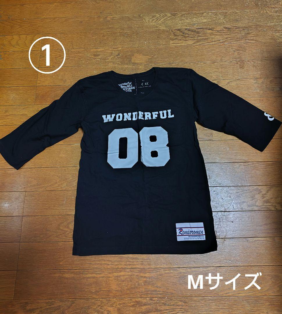 レミオロメン　まとめ売り　パンフレット　DVD CD ライブグッズ