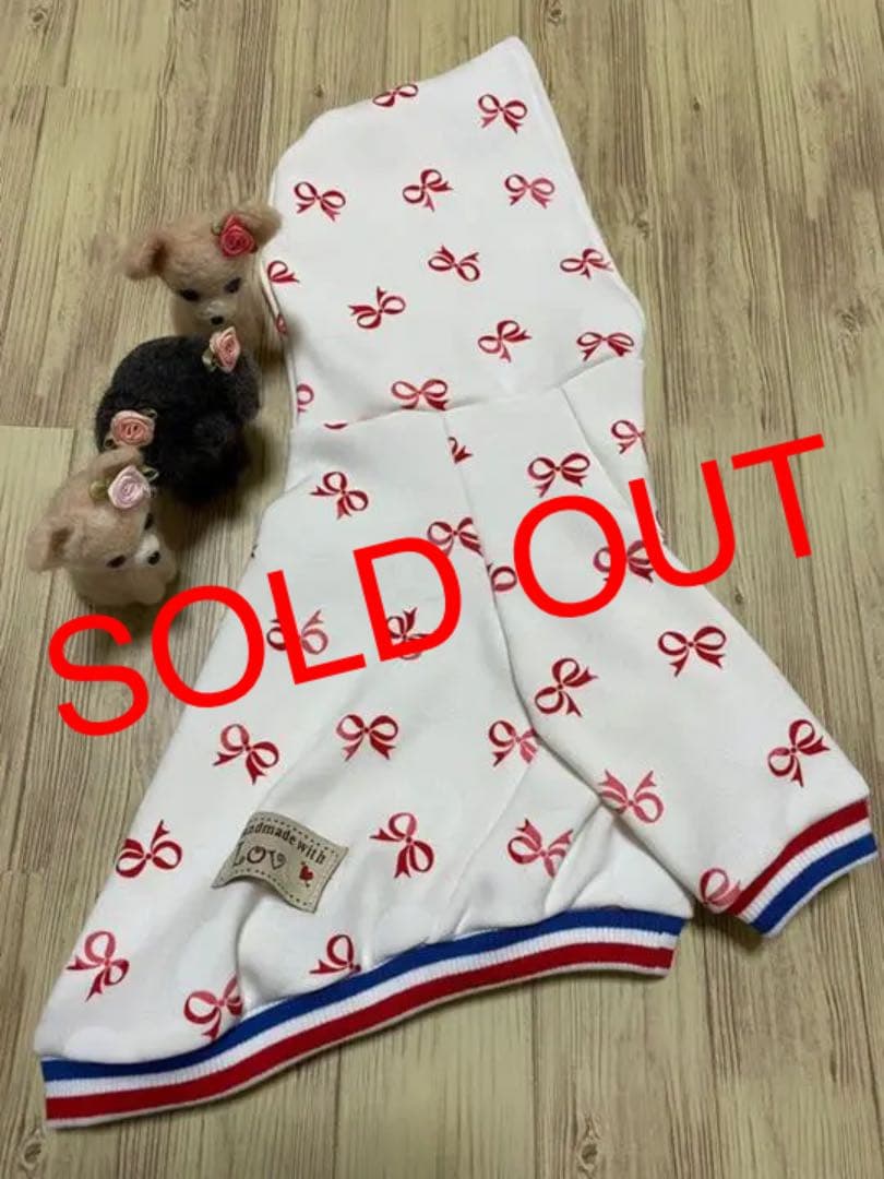 犬服  ラグランフード付き(M)   ꒡̈⃝Lily꒡̈⃝ハンドメイド  再出品