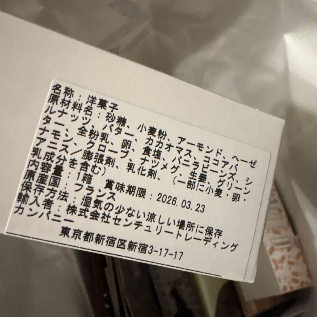 フィリップベル　クルスティベロ