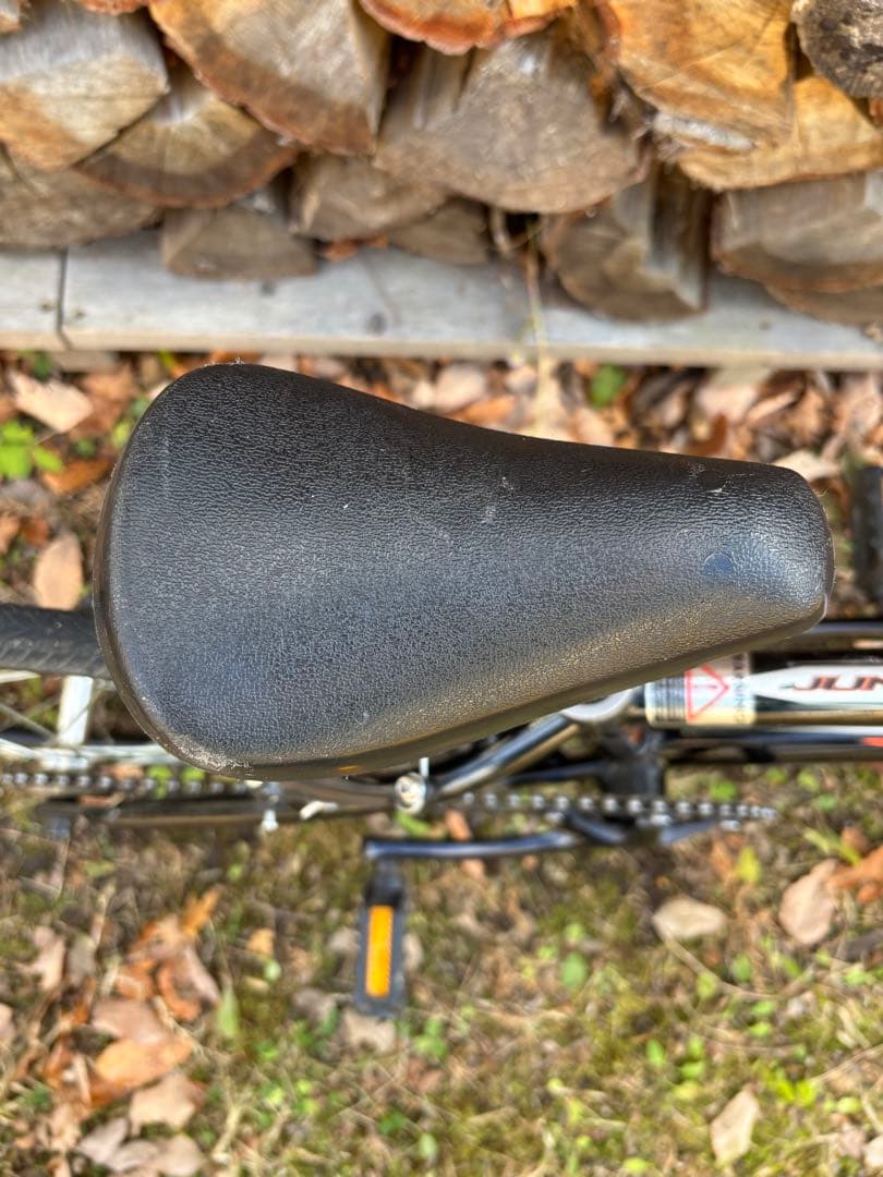 【山梨県引き渡し】マングース title junior 20インチ ブラック