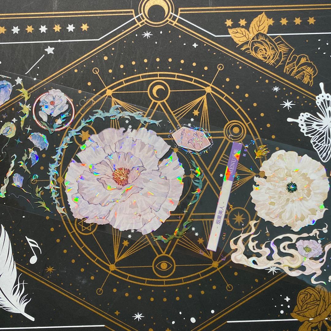 【9223】海外　マステ　中古巻　貝殻光マスキングテープ　お花系　ヒナゲシ