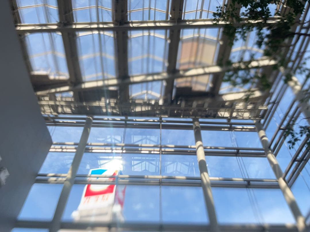 大森製作所　キャリアNO1 キャリアミニ　2台セット