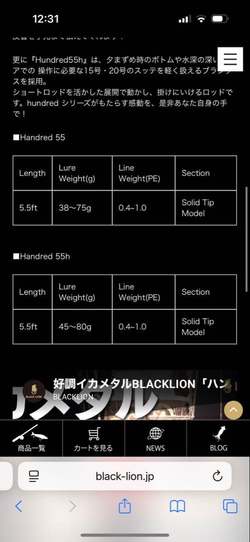 BLACK LION Hundred 55h 美品