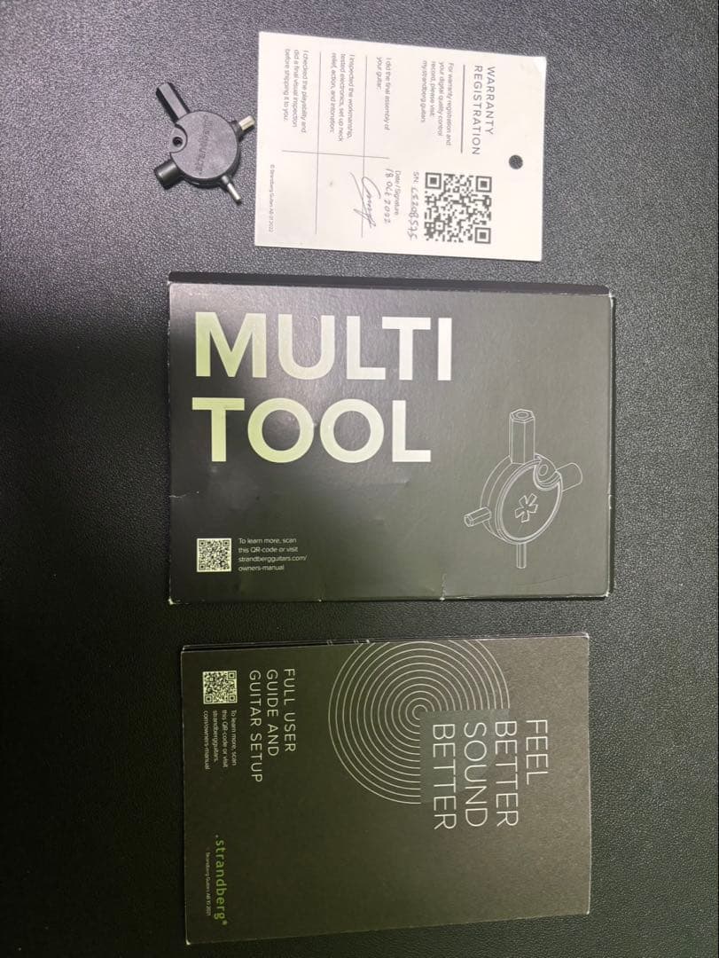 ギター Strandberg Boden RAS6 BanG Dream!