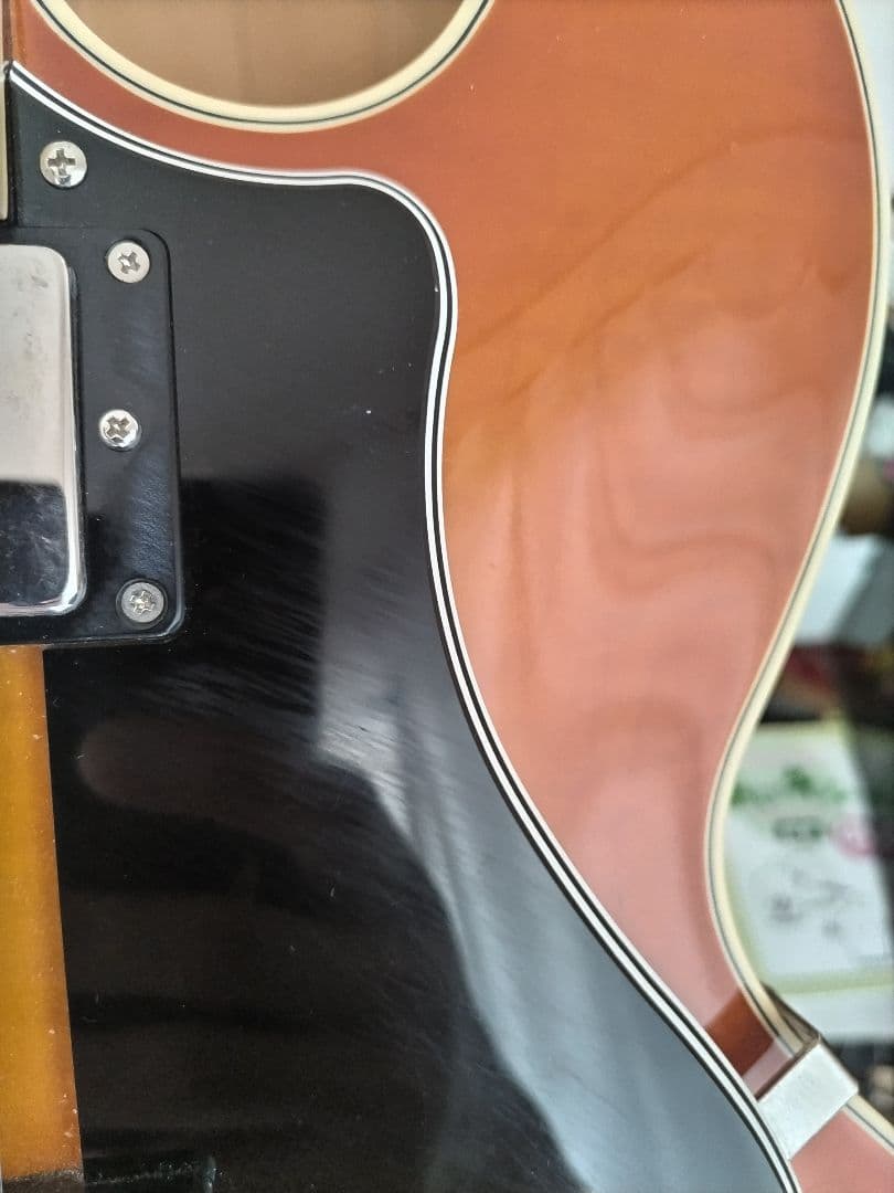 H*i様 FGN MSA-HP MASTERFIELDフジゲンセミアコ