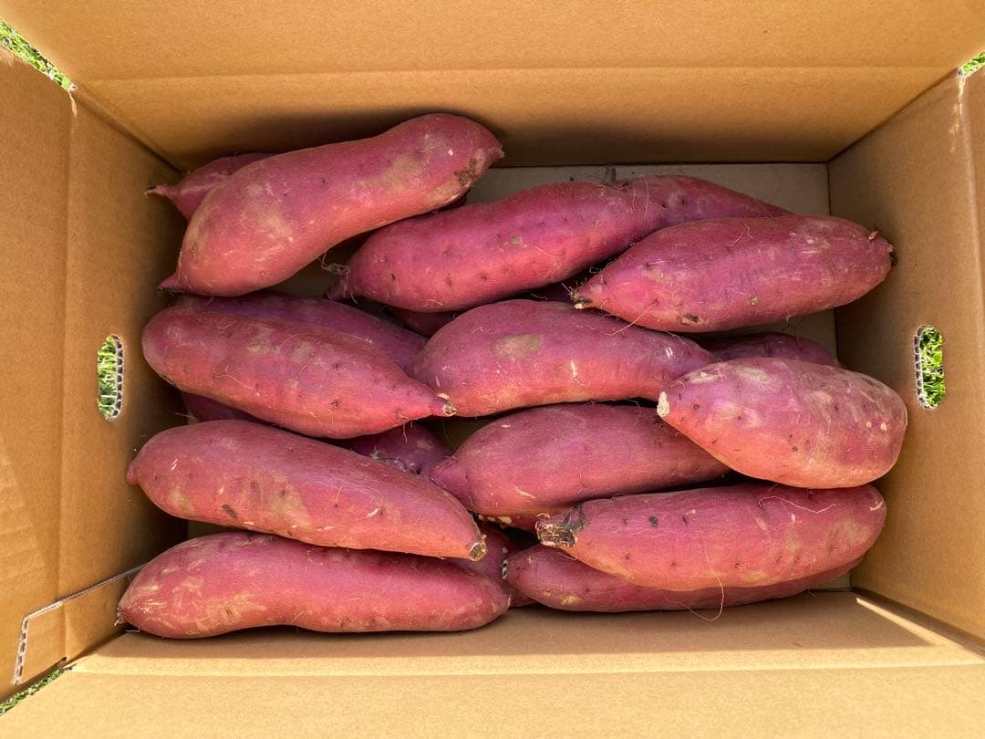 茨城県産紅はるか50キロ　Rika☆品