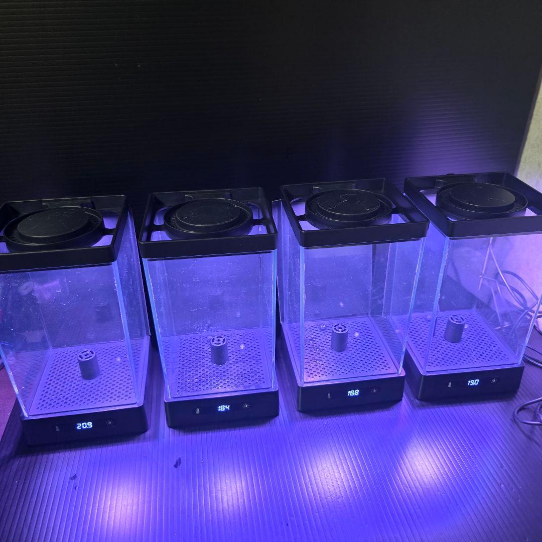 ベタ用 LEDヒーター付き水槽 4個+ベタ用 水槽３個