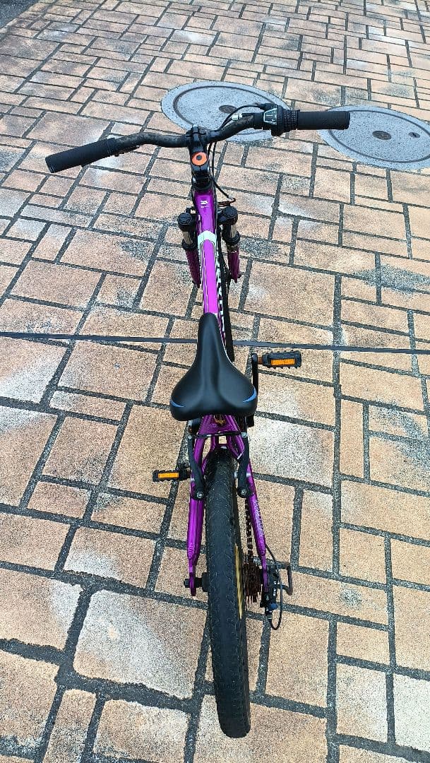 HARO 20インチ　自転車