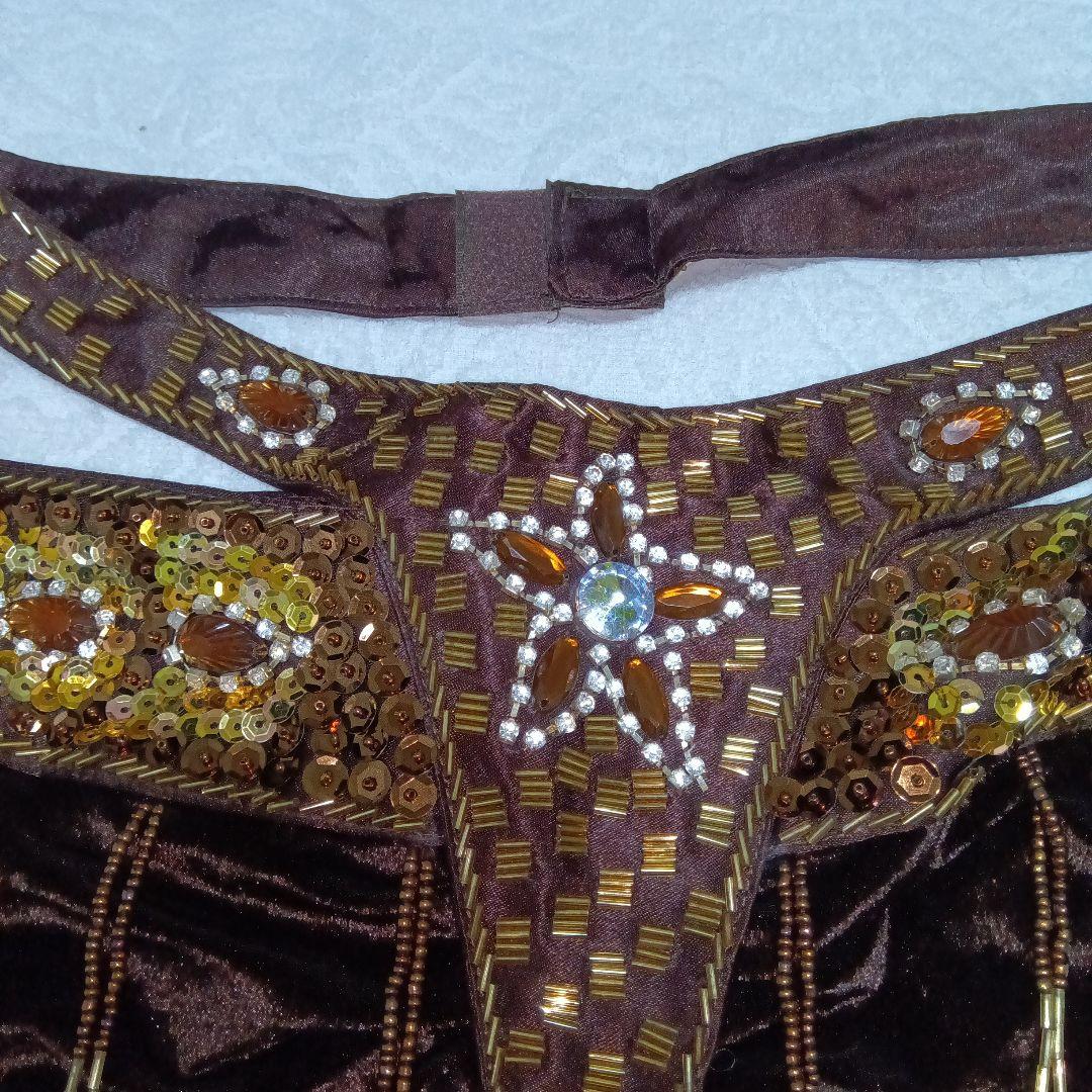 ベリーダンス　衣装　4点セット（ブラ・スカート・アーム・チョーカー）