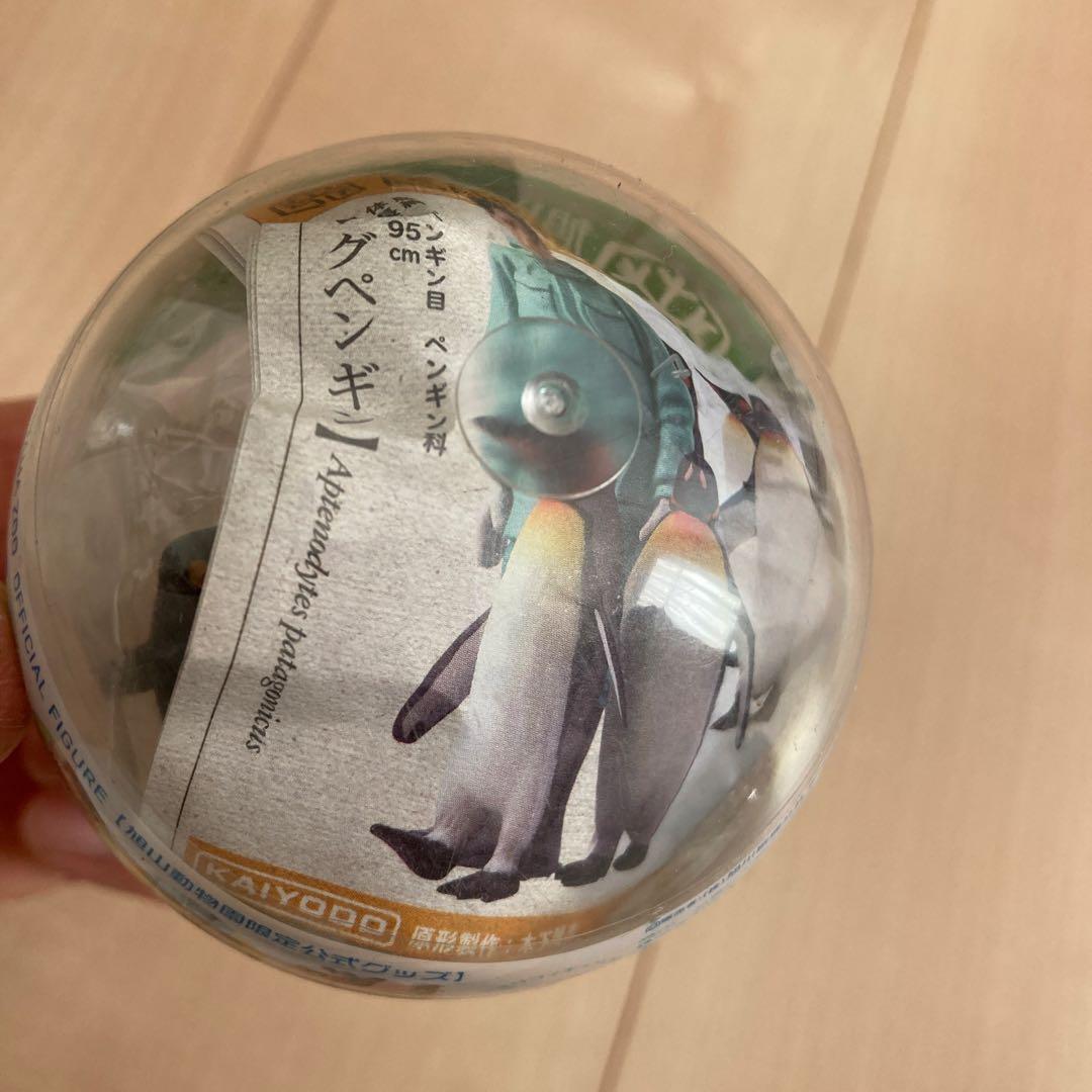 新品未開封　海洋堂　ガチャ　あさひやまどうぶつえん　vol.1 6種