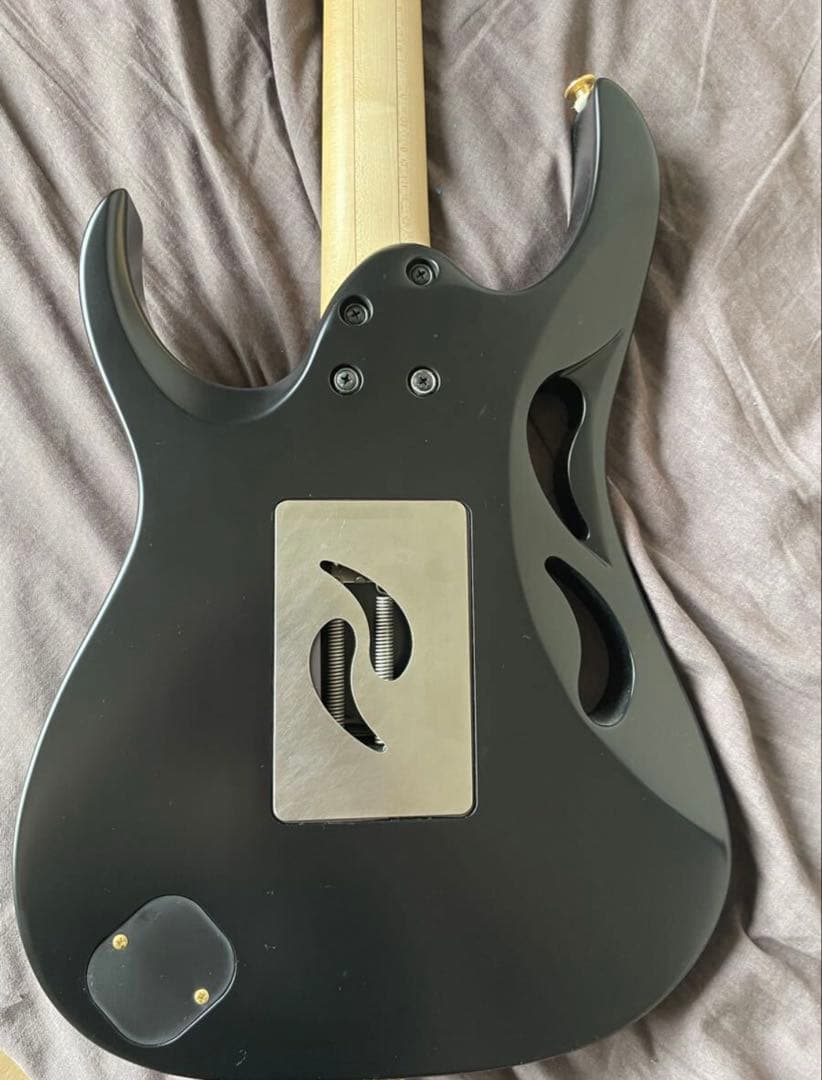 ギター Ibanez PIA3761 Steve Vai Signature